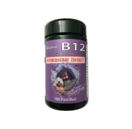 Vitamin B12 100 Pastillen