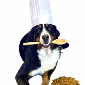 Dogenesis Hundefutter